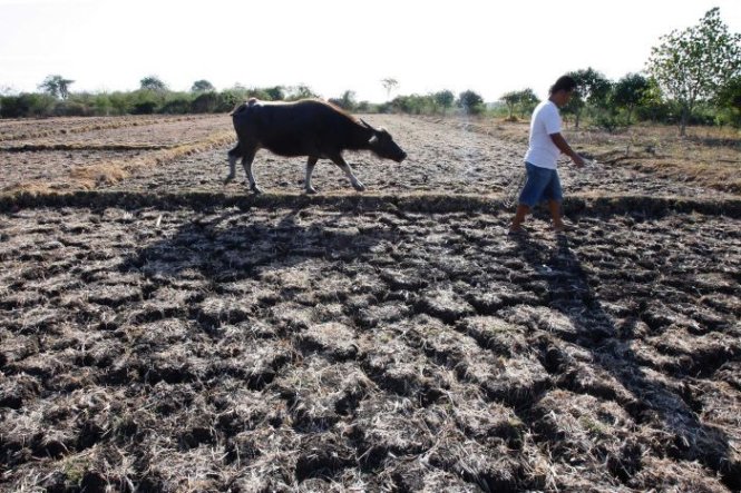 Hạn[-]hán[-]trên[-]đồng[-]ruộng[-]ở[-]Philippines[-]-[-]Ảnh:[-]Reuters